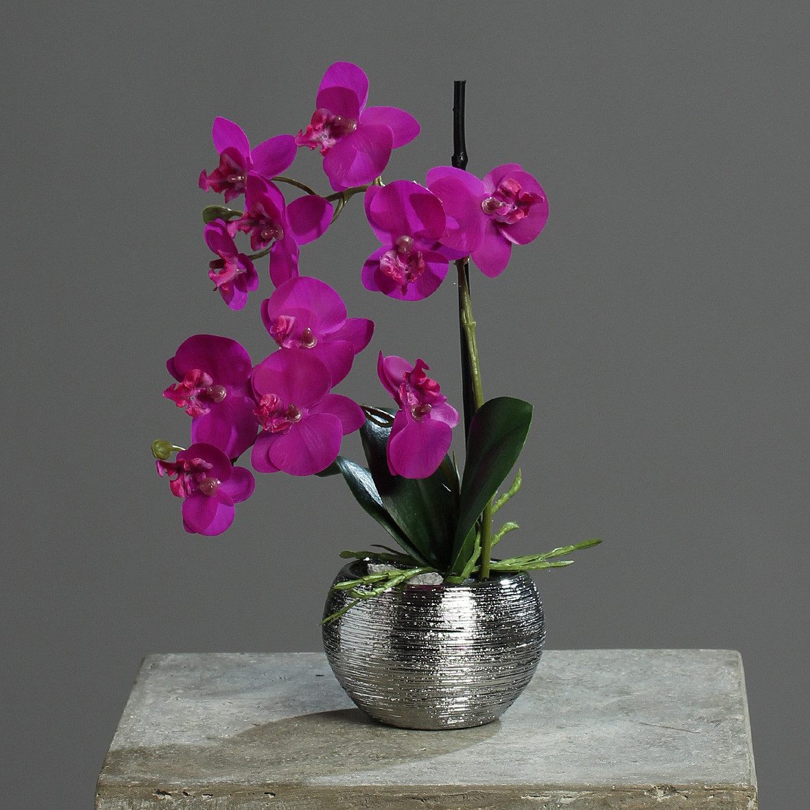 Kunstorchidee 30cm im Keramiktopf, Silber künstliche Orchidee Kunstpflanze Phalaenopsis, mucPlants