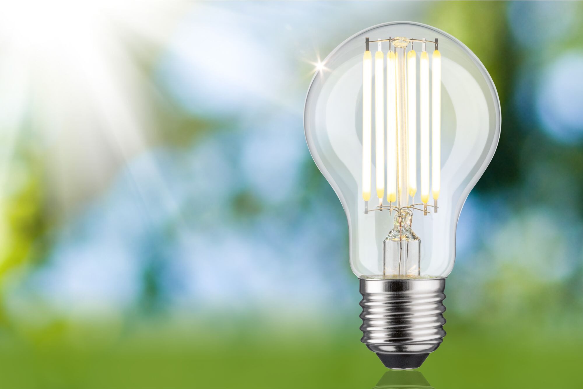 Paulmann LED-Leuchtmittel Eco-Line Filament 230V LED günstig online kaufen