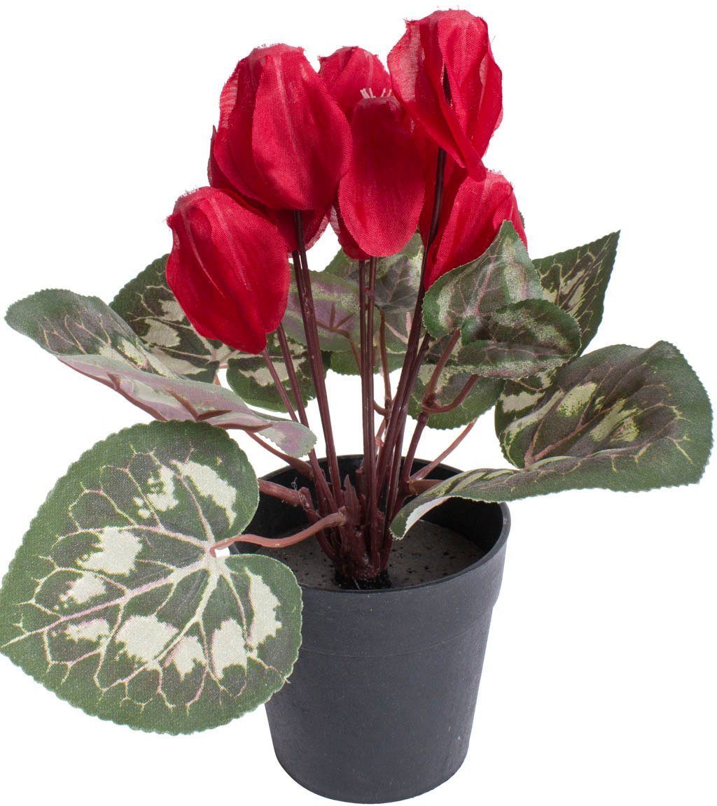 Kunstblume Alpenveilchen, Botanic-Haus, Höhe 24 cm