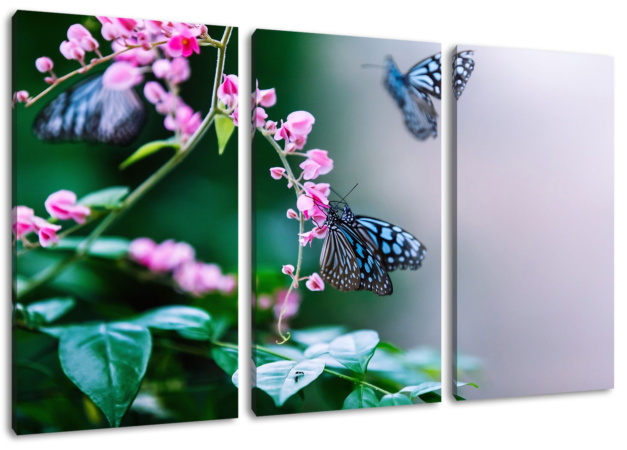 Pixxprint Leinwandbild Schmetterlinge auf rosa Blumen, Schmetterlinge auf rosa Blumen 3Teiler (120x80cm) (1 St), Leinwandbild fertig bespannt, inkl. Zackenaufhänger