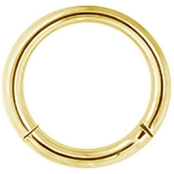 Karisma Piercing-Set Karisma Rosegold Titan G23 Hinged Segmentring Charnier/Septum Clicker Helix Ring Piercing Ohrring - 1 0x8mm Gold