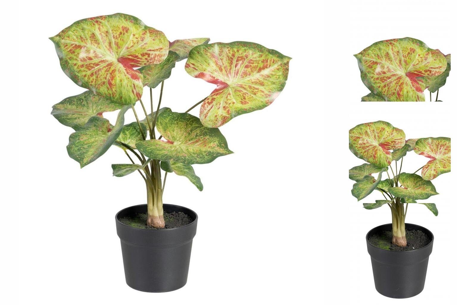 Künstliche Zimmerpflanze Dekorationspflanze 48 x Bigbuy, 57 55 x Rot cm Höhe PVC, grün cm 46
