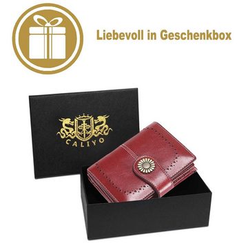 TAN.TOMI Brieftasche Geldbeutel Damen, elegante Geldbörse Damen aus echtem Used-Look Leder, Portemonnaie Damen mit RFID Schutz in schönen Farben, viele Fächer mit Druckknopf und Reißverschluss, Kreditkartenschlitz,Zusammenklappbar,Fotoslot,Cleveres Design