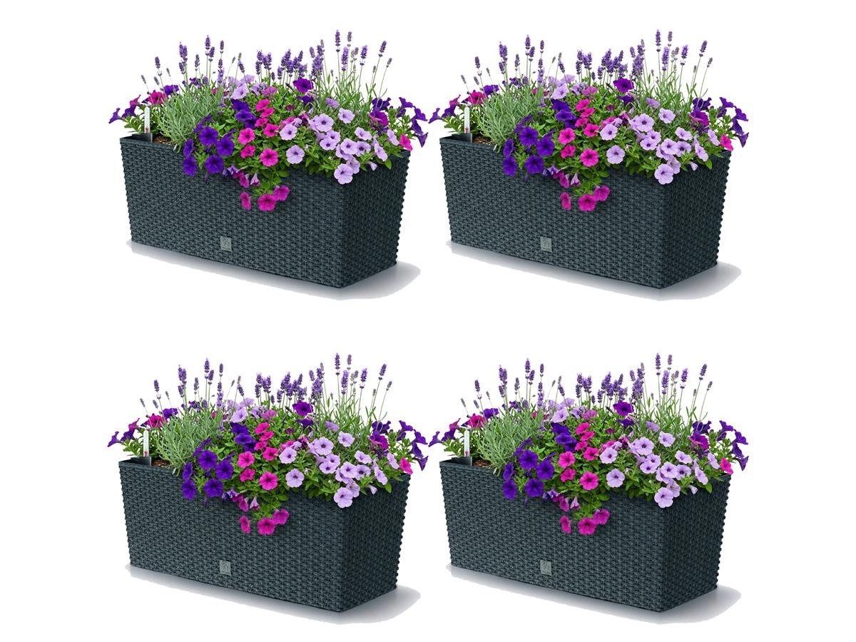 Prosperplast Blumenkasten Rato Case (4 St., 4er-Set), Bewässerungssystem, Rattanoptik, eckig