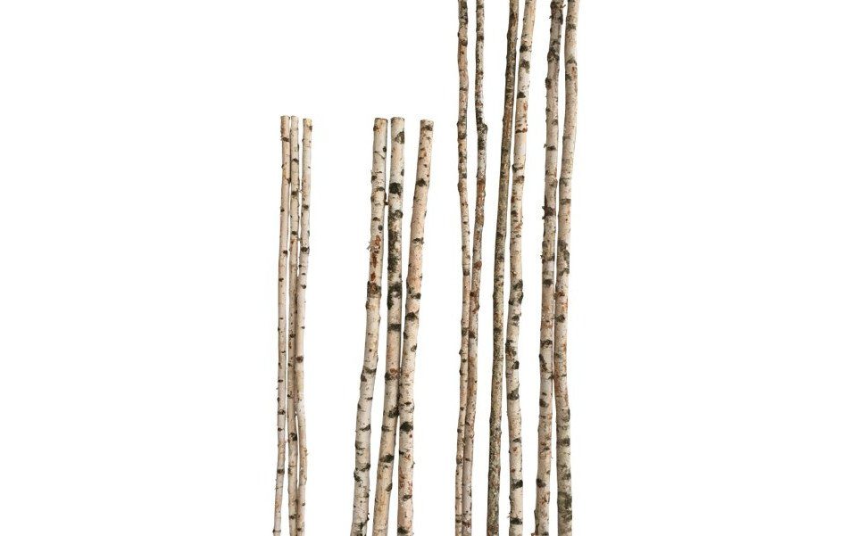 iWerk Dekofigur Birkenstamm 90 cm ø 4-6 cm günstig online kaufen