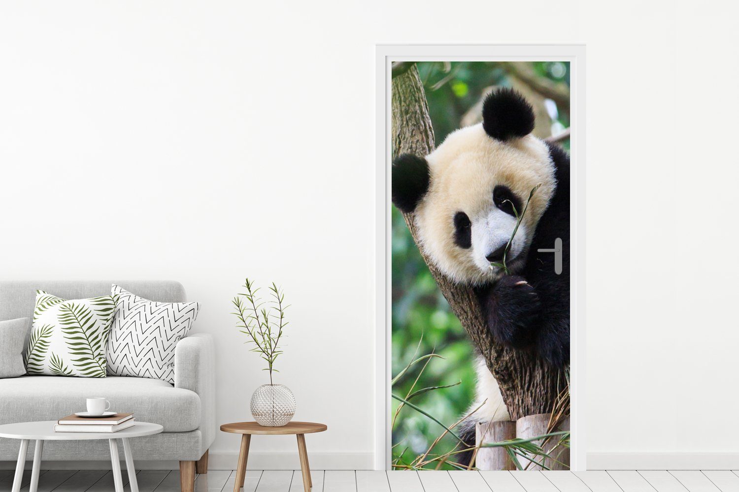 Tür, (1 Dschungel Panda - Matt, Türaufkleber, 75x205 bedruckt, St), Tiere - MuchoWow für Natur, Fototapete Türtapete cm -