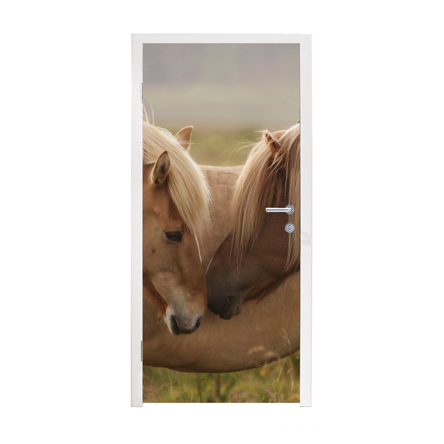 Braun, Tür, Pferde bedruckt, cm Türaufkleber, 75x205 - St), für Fototapete (1 Türtapete Gras MuchoWow Matt, -