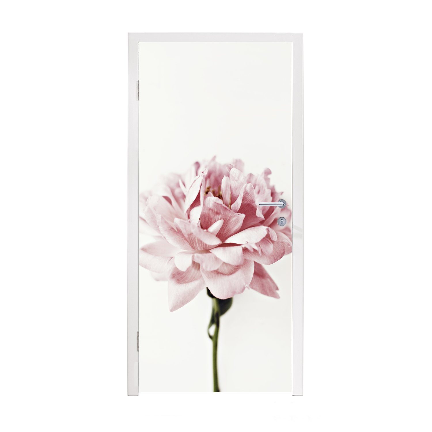 MuchoWow Türtapete Nahaufnahme einer rosa Pfingstrose, Matt, bedruckt, (1 St), Fototapete für Tür, Türaufkleber, 75x205 cm