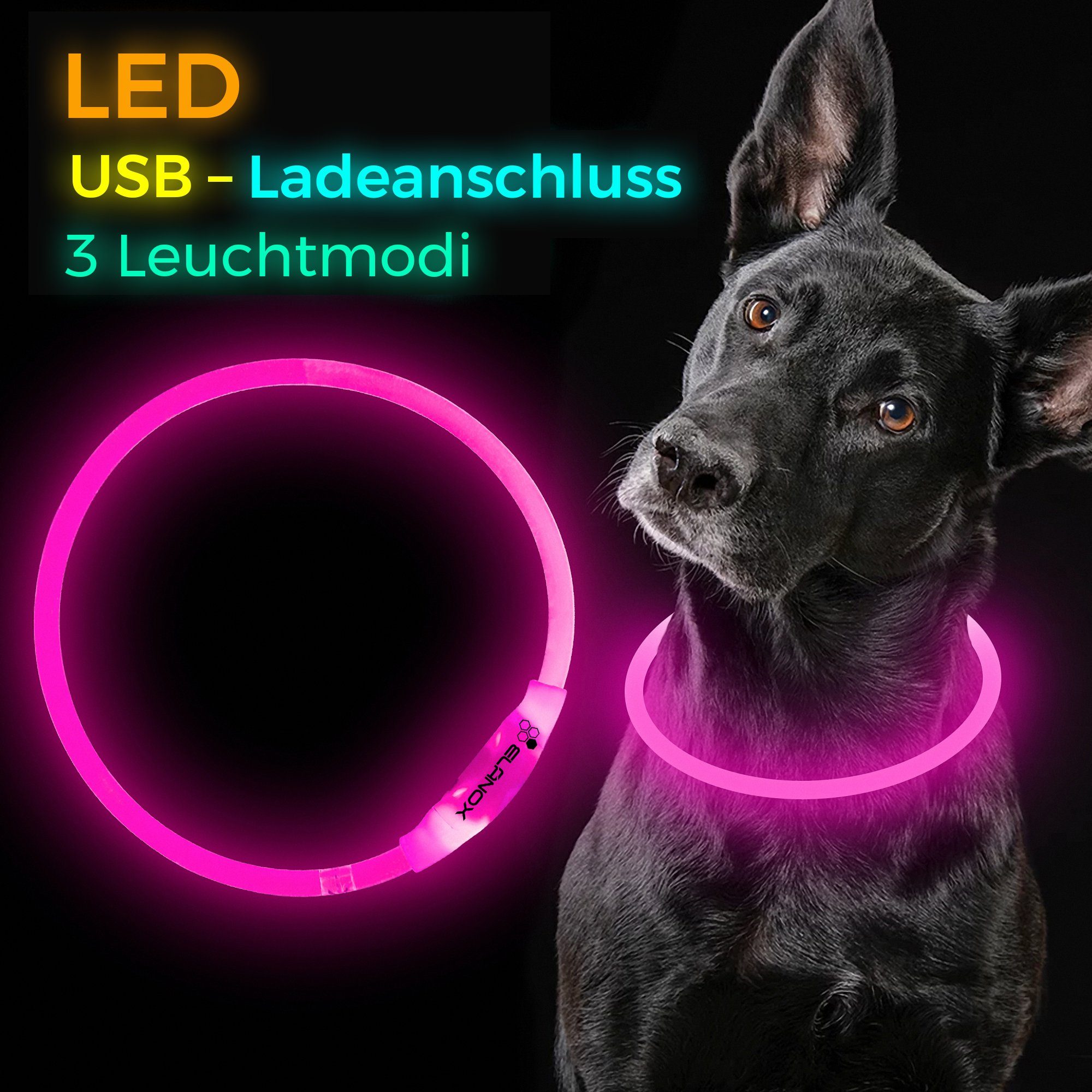 ELANOX Leuchthalsband LED Hundehalsband 5 Farben helle LED Größe anpassbar