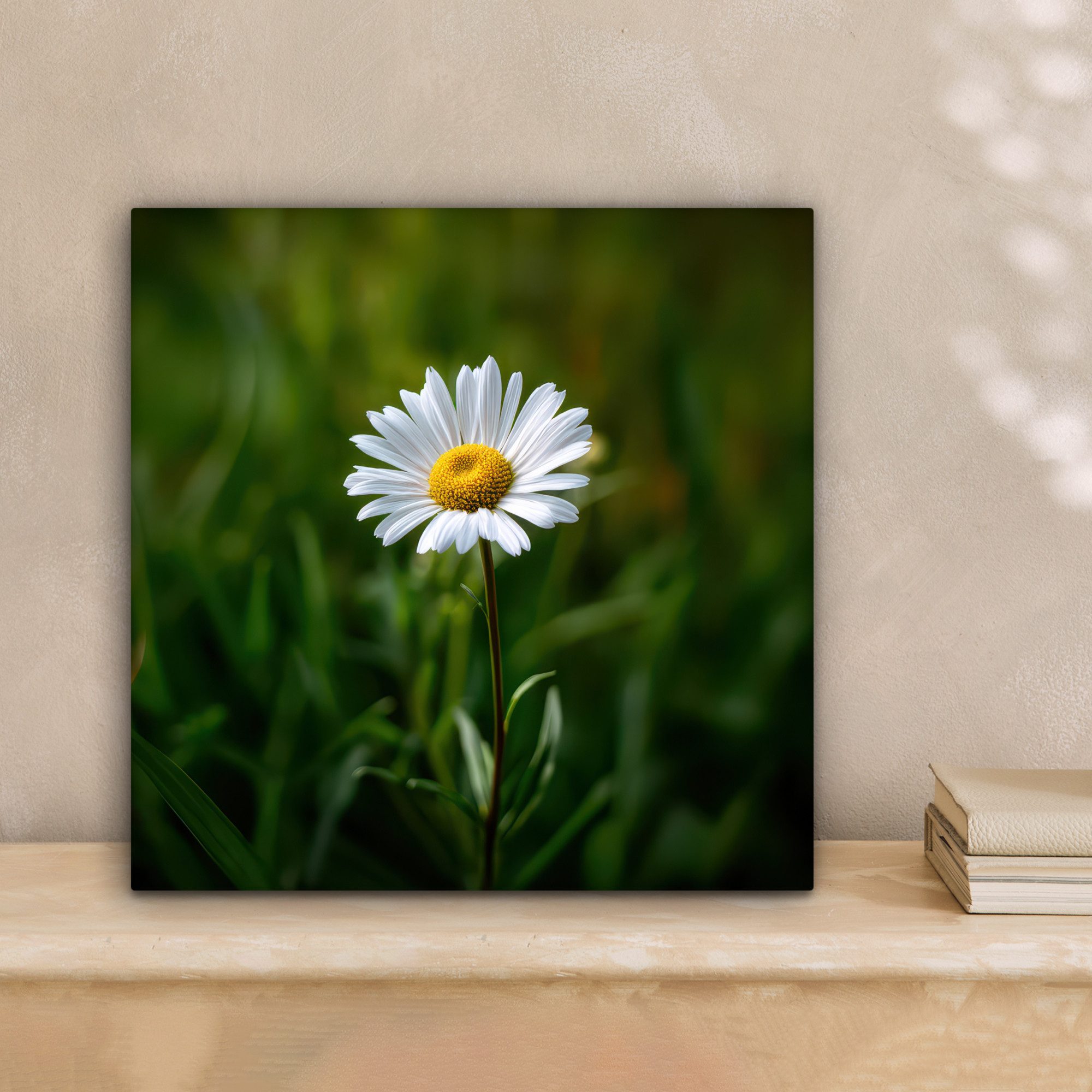 OneMillionCanvasses® Leinwandbild Weiß - Gänseblümchen - günstig online kaufen
