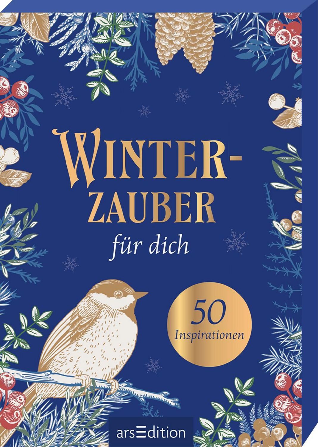 Winterzauber für dich / diverse