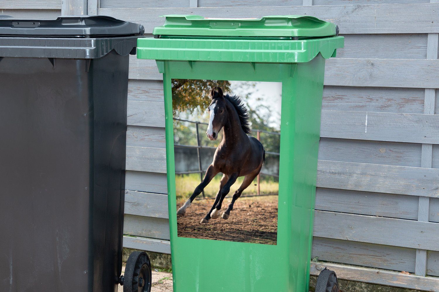 MuchoWow Wandsticker Pferde Marwari Zaun Container, (1 Mülltonne, Mülleimer-aufkleber, Sticker, - - Abfalbehälter St)