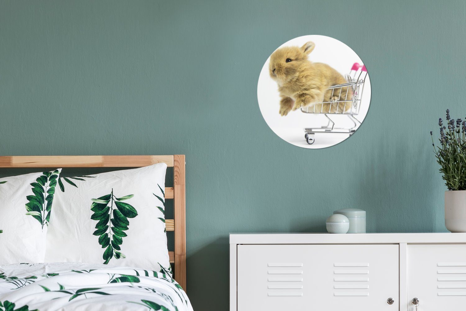 Kreis Baby - Gemälde Wohnzimmer, cm - Weiß, Rundes Wandbild, 30x30 Kaninchen St), (1 MuchoWow Forex, Wanddekoration
