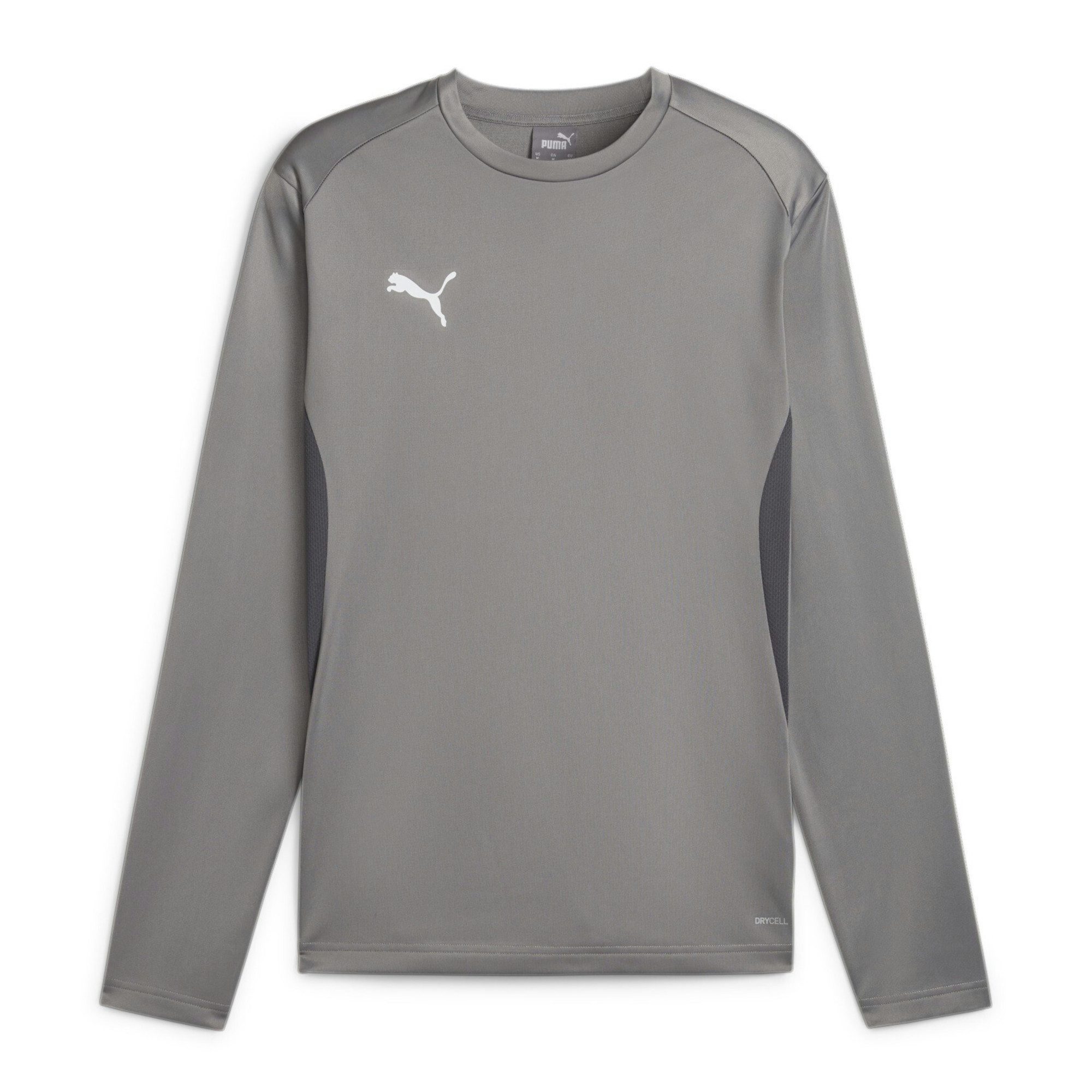 PUMA Fleecepullover Puma Herren Pullover teamGOAL Training Sweat 658649