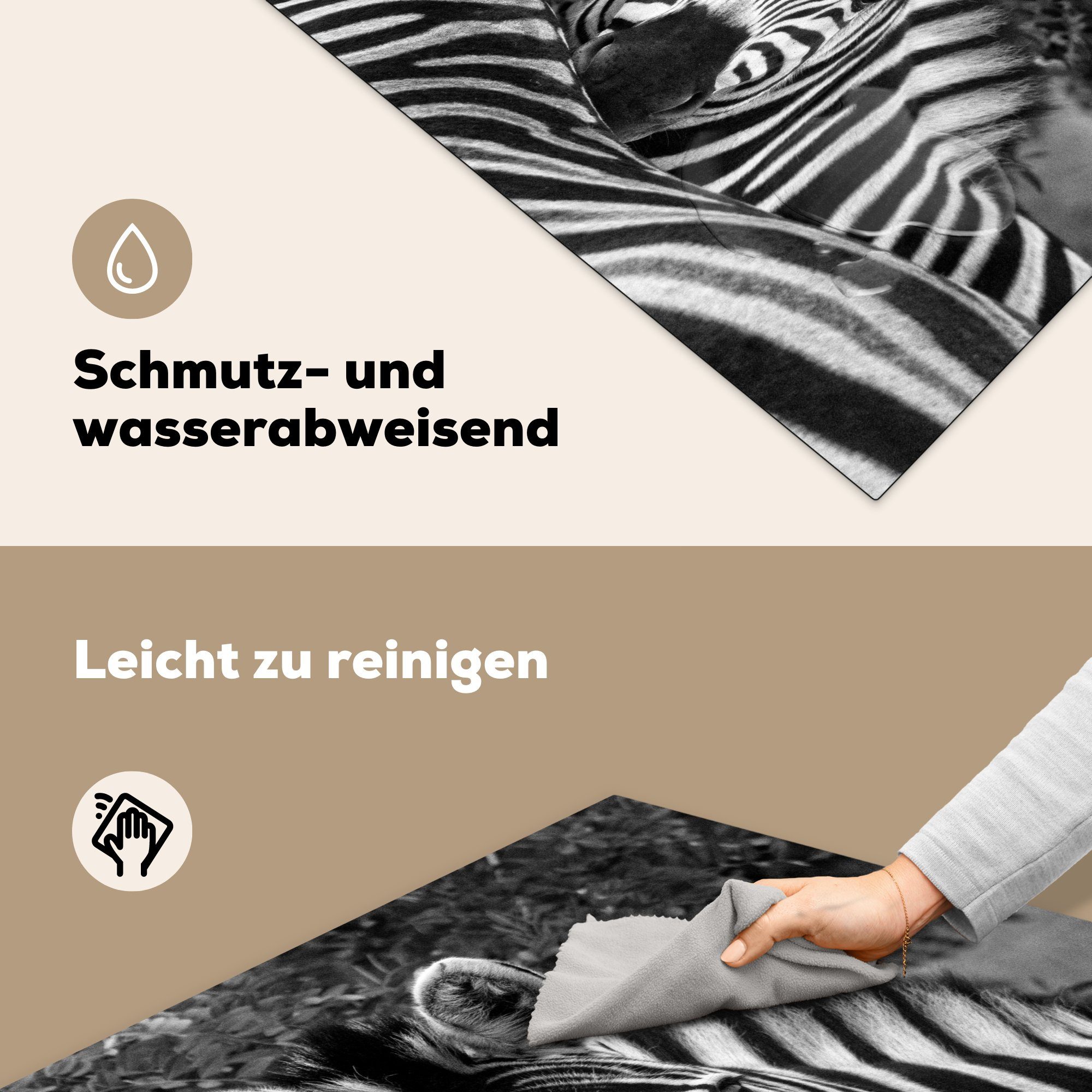 (1 Ceranfeldabdeckung, Vinyl, küche über tlg), Widerrist Zebras, Ein den Burchell-Zebra cm, MuchoWow Arbeitsplatte für eines anderen 78x78 Herdblende-/Abdeckplatte blickt