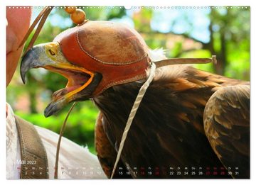 CALVENDO Wandkalender Jagdvögel (Premium, hochwertiger DIN A2 Wandkalender 2023, Kunstdruck in Hochglanz)