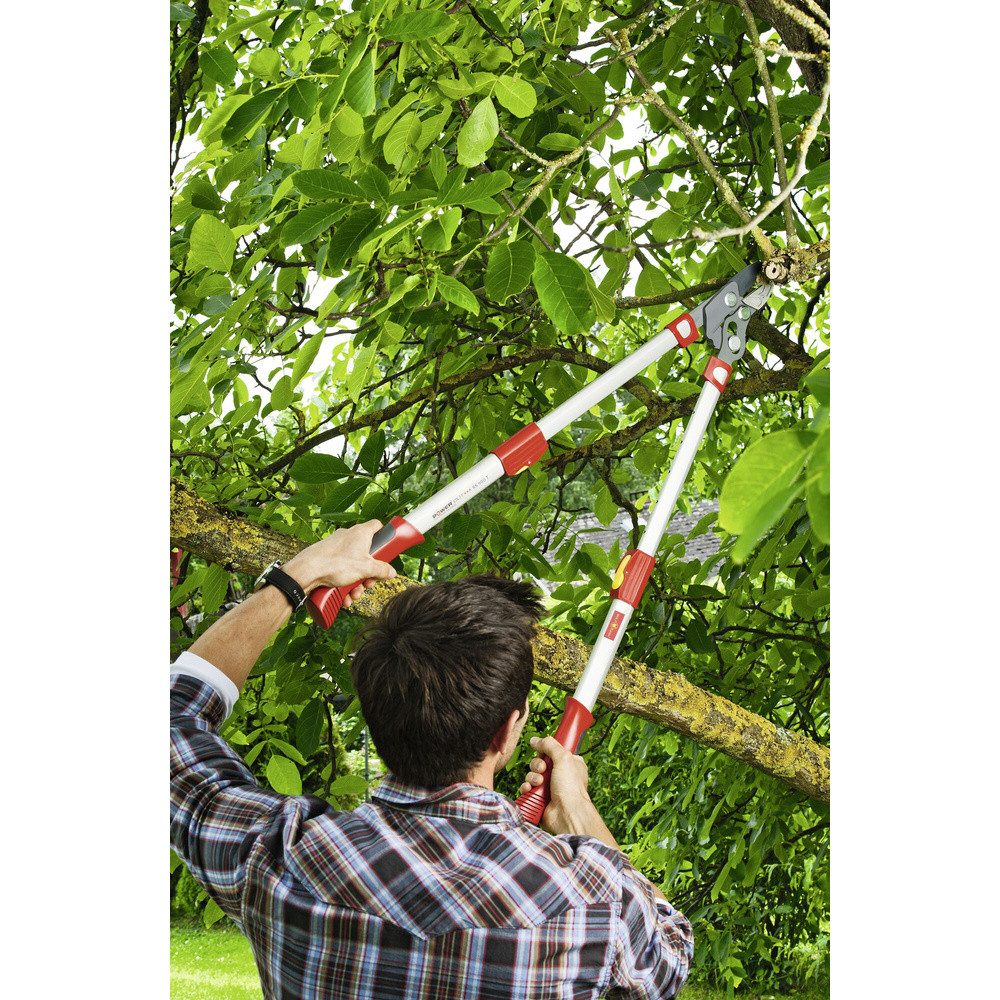 WOLF-Garten Astschere WOLF-Garten 73BGA009650 POWER CUT RS 900 T Premium Pl günstig online kaufen