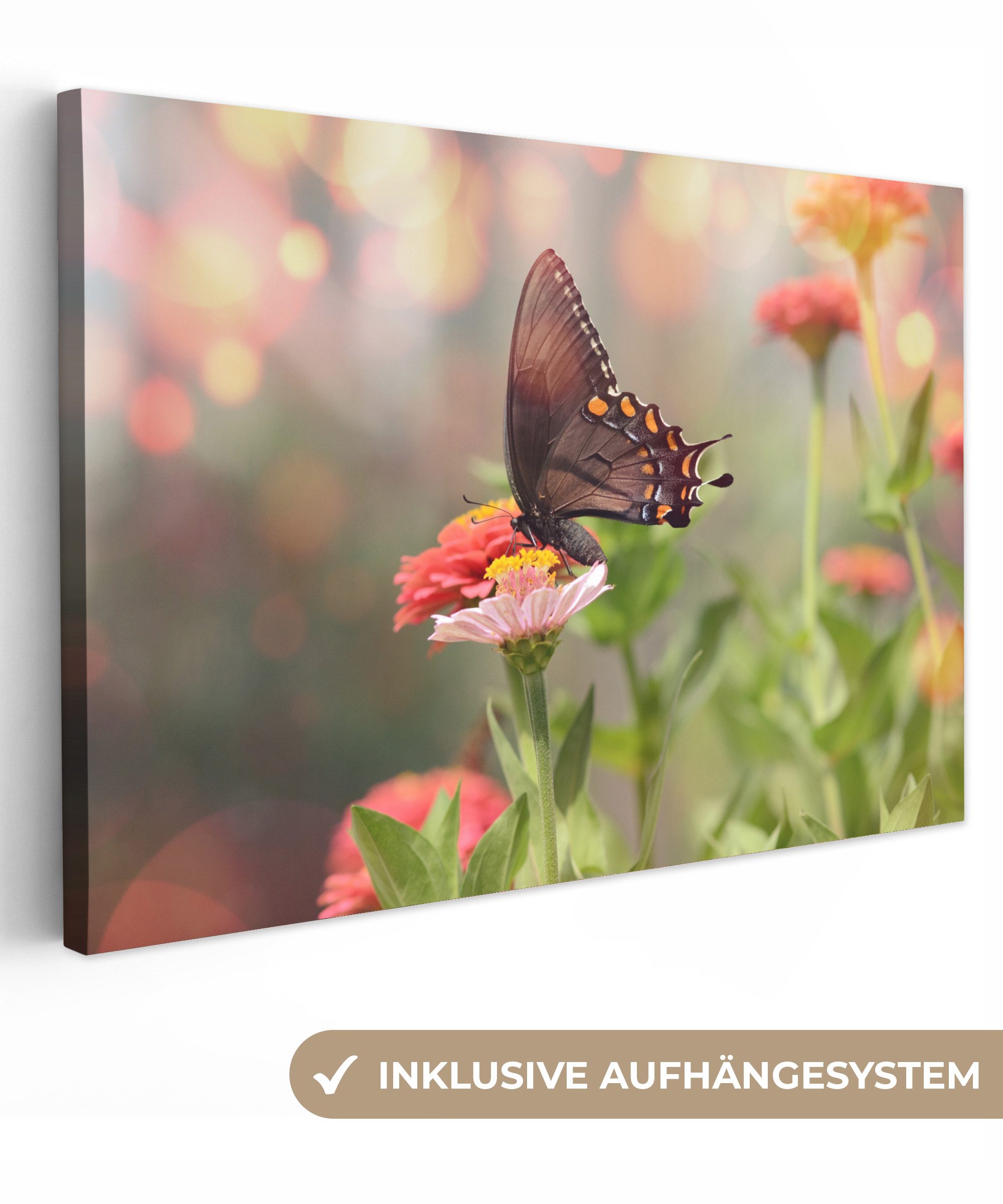 OneMillionCanvasses® Leinwandbild Blumen - Schmetterling - günstig online kaufen