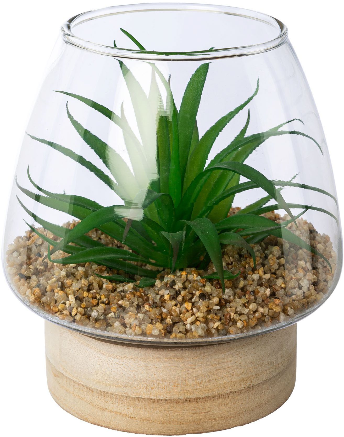 Kunstpflanze Sukkulenten im Glasgefäß, Creativ green, Höhe 14 cm, mit 2 verschiedenen Sukkulenten – Bild 3 von 3
