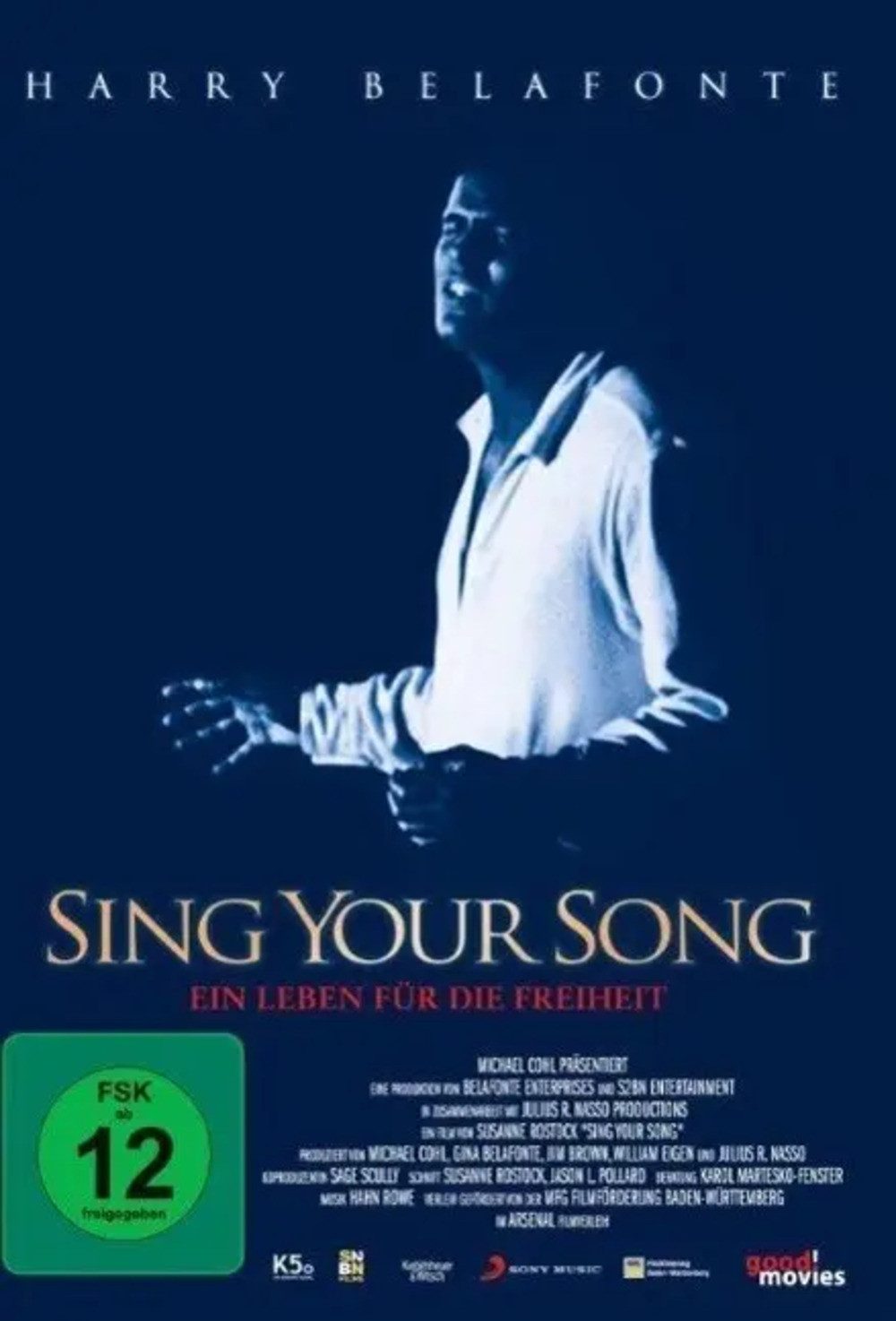 Media Verlag DVD Sing Your Song
