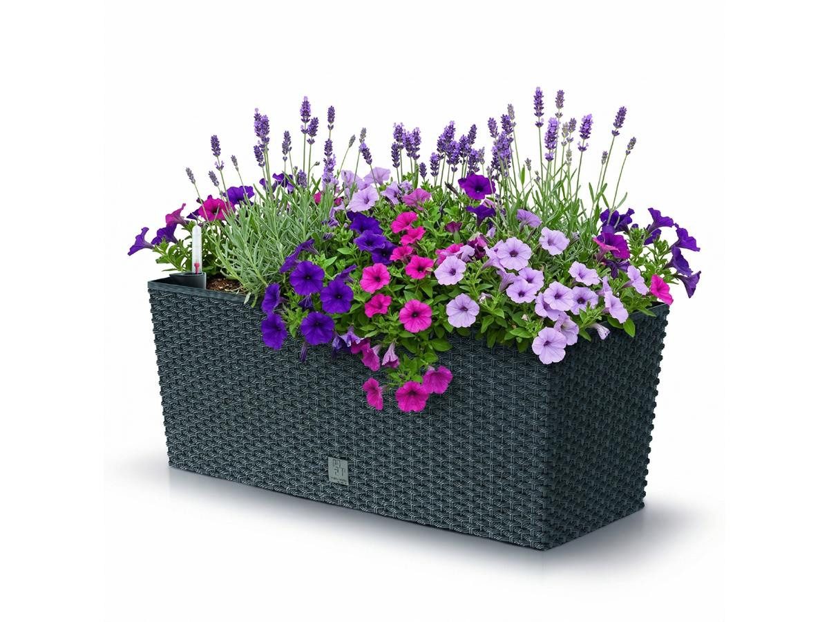 Prosperplast Blumenkasten Rato Case, inkl. Bewässerung
