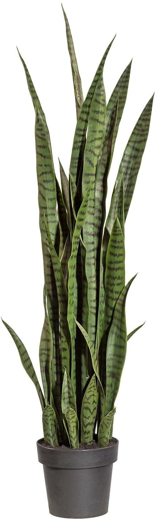 Kunstpflanze Sanseveria, Creativ green, Höhe 100 cm, Im klassischen Stil | Kunstpflanzen