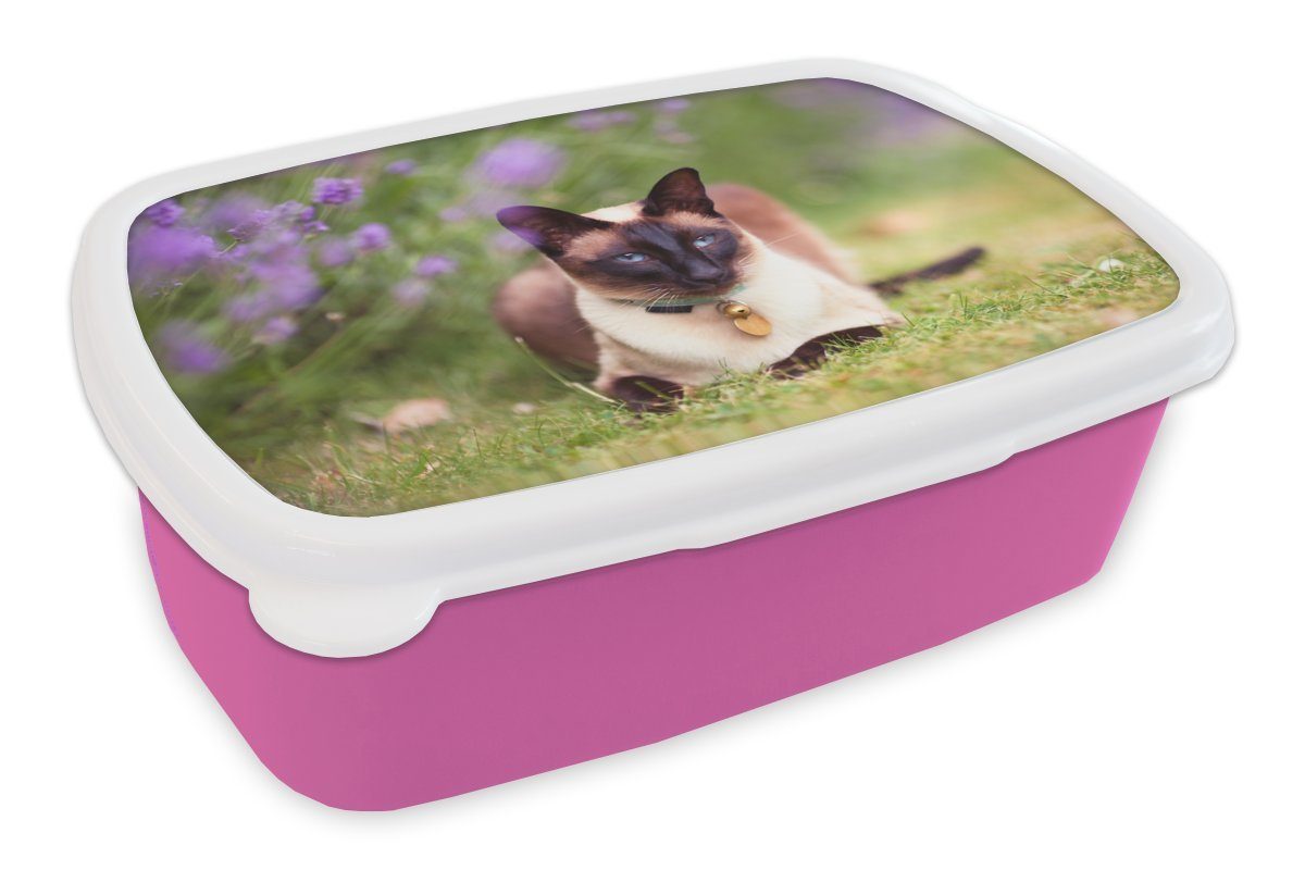 MuchoWow Lunchbox Eine Siamkatze legt sich neben den lila Lavendel, Kunststoff, (2-tlg), Brotbox für Erwachsene, Brotdose Kinder, Snackbox, Mädchen, Kunststoff rosa | Lunchboxen