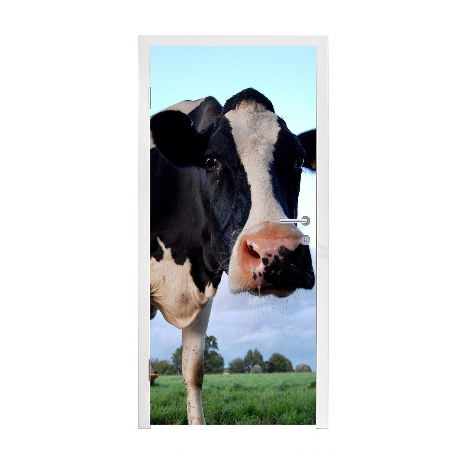 Kuh Bauernhof Fototapete Türaufkleber, für Tür, Türtapete (1 Gras - bedruckt, Tiere, 75x205 MuchoWow - - cm Matt, St),