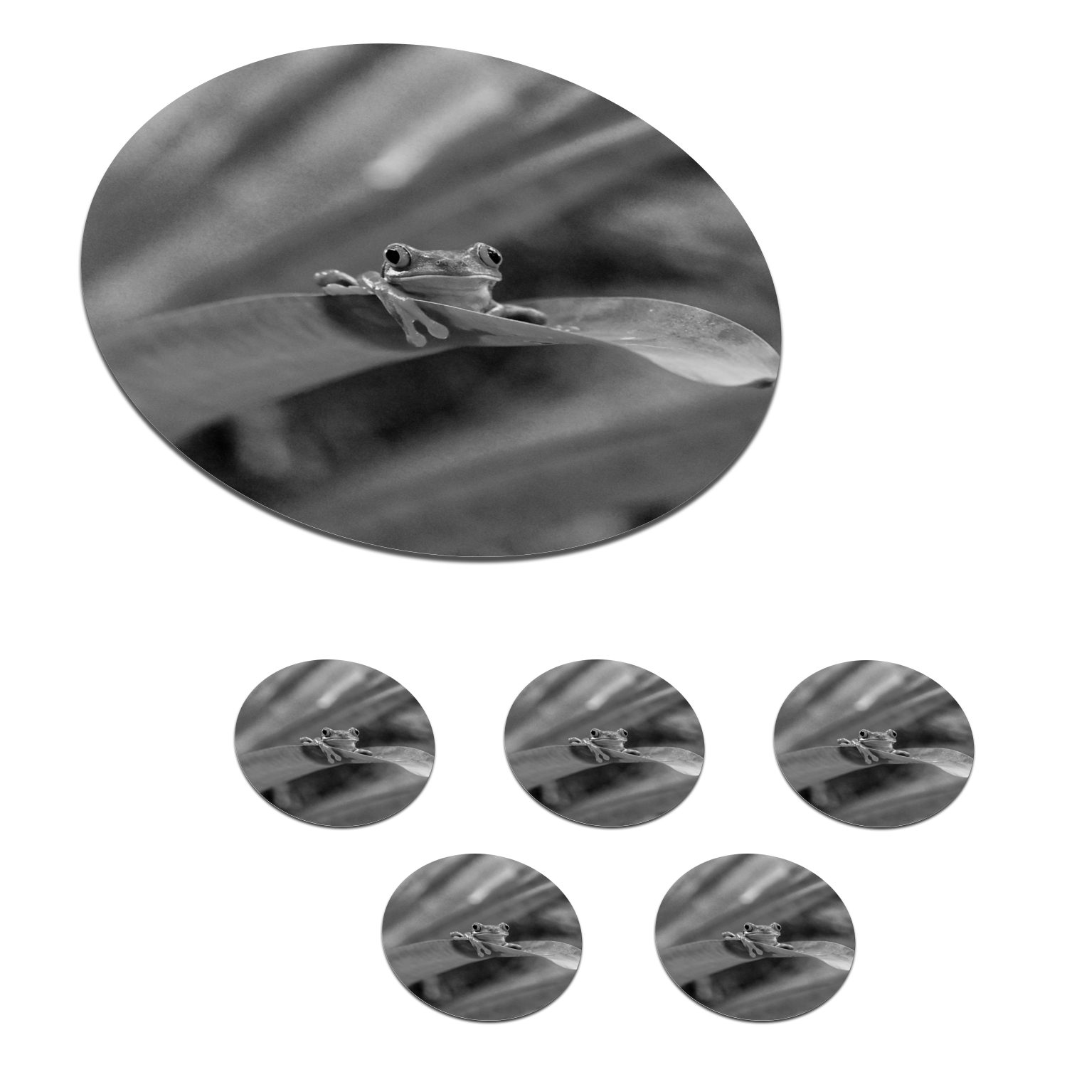 MuchoWow Glasuntersetzer Rotaugenmakakenfrosch unter Blättern in Costa Rica in schwarz-weiß, Zubehör für Gläser, 6-tlg., Getränkeuntersetzer, Tassenuntersetzer, Korkuntersetzer, Tasse, Becher