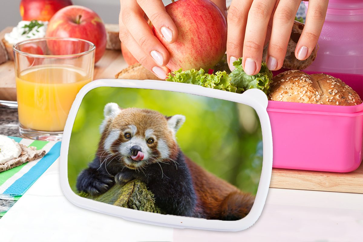 Natur Erwachsene, Lunchbox (2-tlg), rosa Brotdose Kunststoff Roter Mädchen, Brotbox für MuchoWow - Kinder, - Panda Snackbox, Kunststoff, Rüssel,