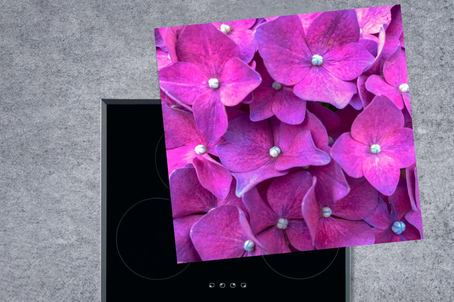 Nahaufnahme Vinyl, 78x78 küche Arbeitsplatte für Hortensienblüten, MuchoWow tlg), cm, Ceranfeldabdeckung, rosa (1 Herdblende-/Abdeckplatte