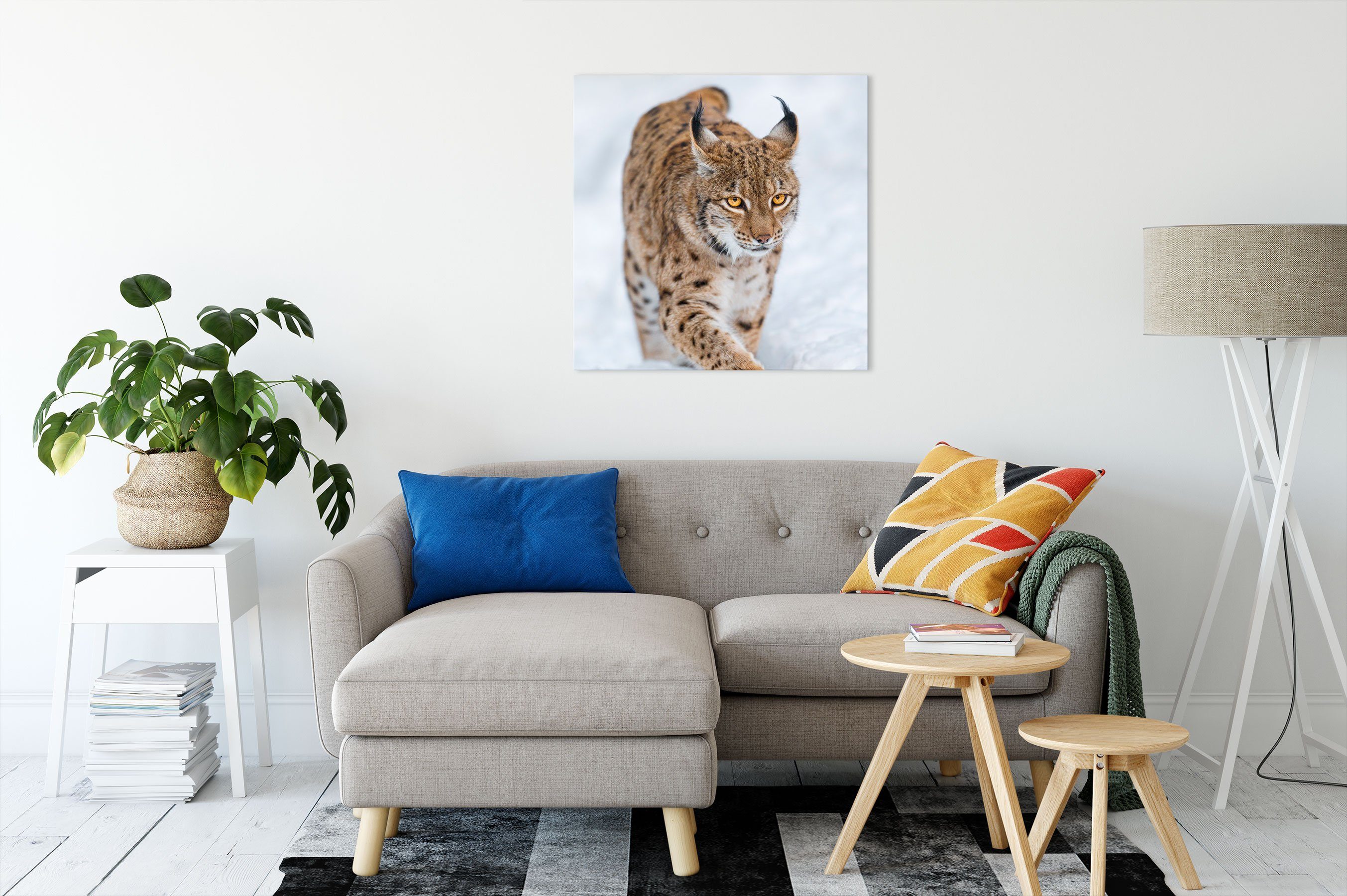 Pixxprint Leinwandbild Luchs im Schnee, Luchs im Schnee (1 St), Leinwandbil günstig online kaufen