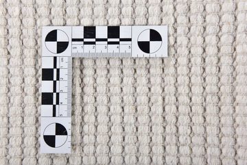 Wollteppich Bergen - 630, THEKO, rechteckig, Höhe: 5 mm, Handweb Teppich, reine Wolle, handgewebt, Scandi Design, mit Bordüre