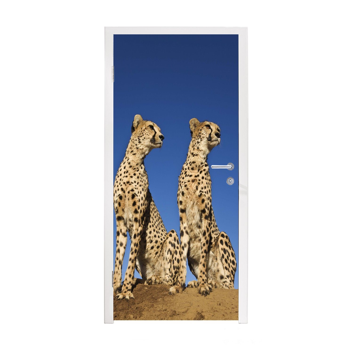 MuchoWow Türtapete Wilde Geparden, Matt, bedruckt, (1 St), Fototapete für Tür, Türaufkleber, 75x205 cm