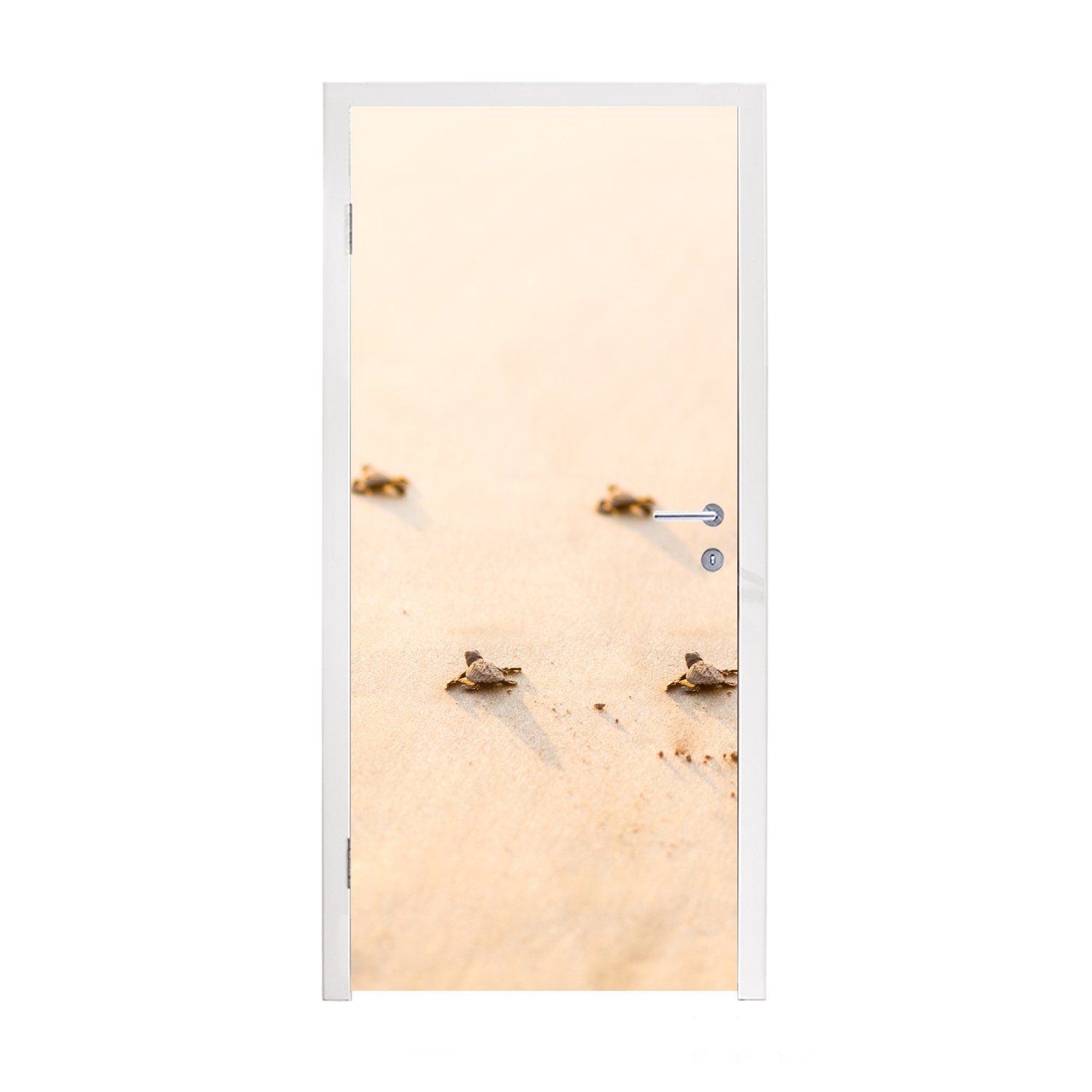 MuchoWow Türtapete Baby-Schildkröten Fotodruck, (1 Türaufkleber, bedruckt, Tür, für 75x205 Fototapete St), cm Matt