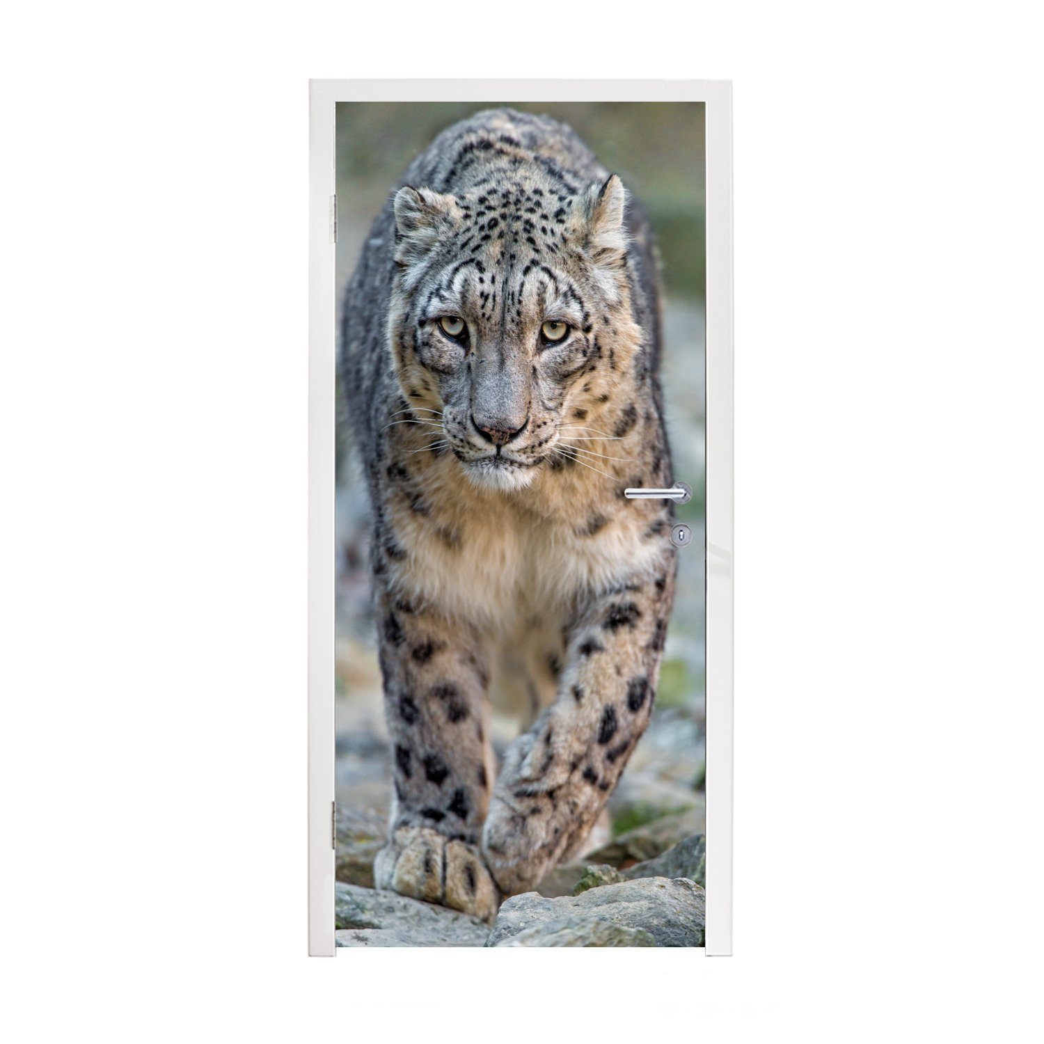 MuchoWow Türtapete Leopard - Steine - Spaziergang, Matt, bedruckt, (1 St), Fototapete für Tür, Türaufkleber, 75x205 cm