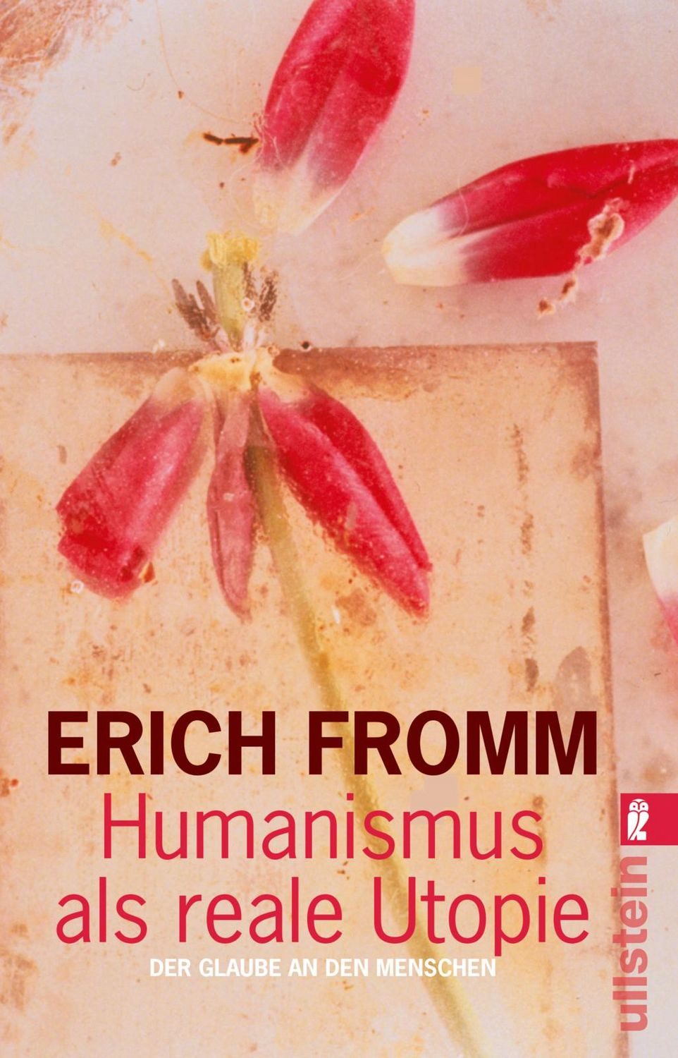 Sachbuch Humanismus als reale Utopie Der Glaube an den Menschen Erich Fromm