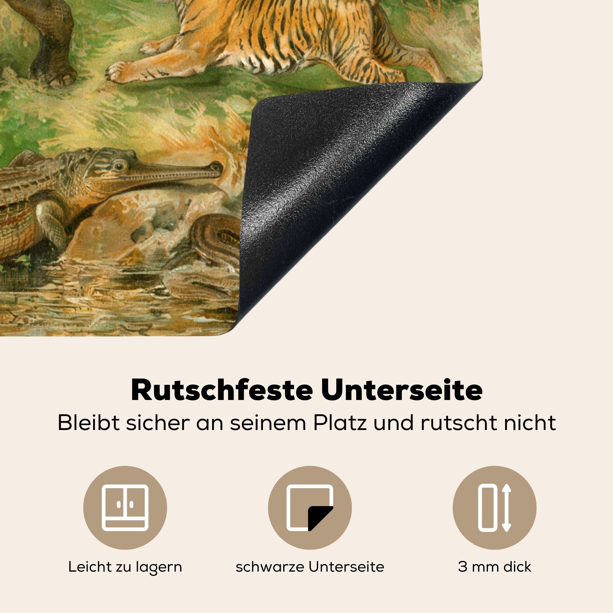 Tiere Regenwald - cm, 60x52 Mobile nutzbar, Herdblende-/Abdeckplatte - Ceranfeldabdeckung Vinyl, MuchoWow (1 Vintage, tlg), Arbeitsfläche
