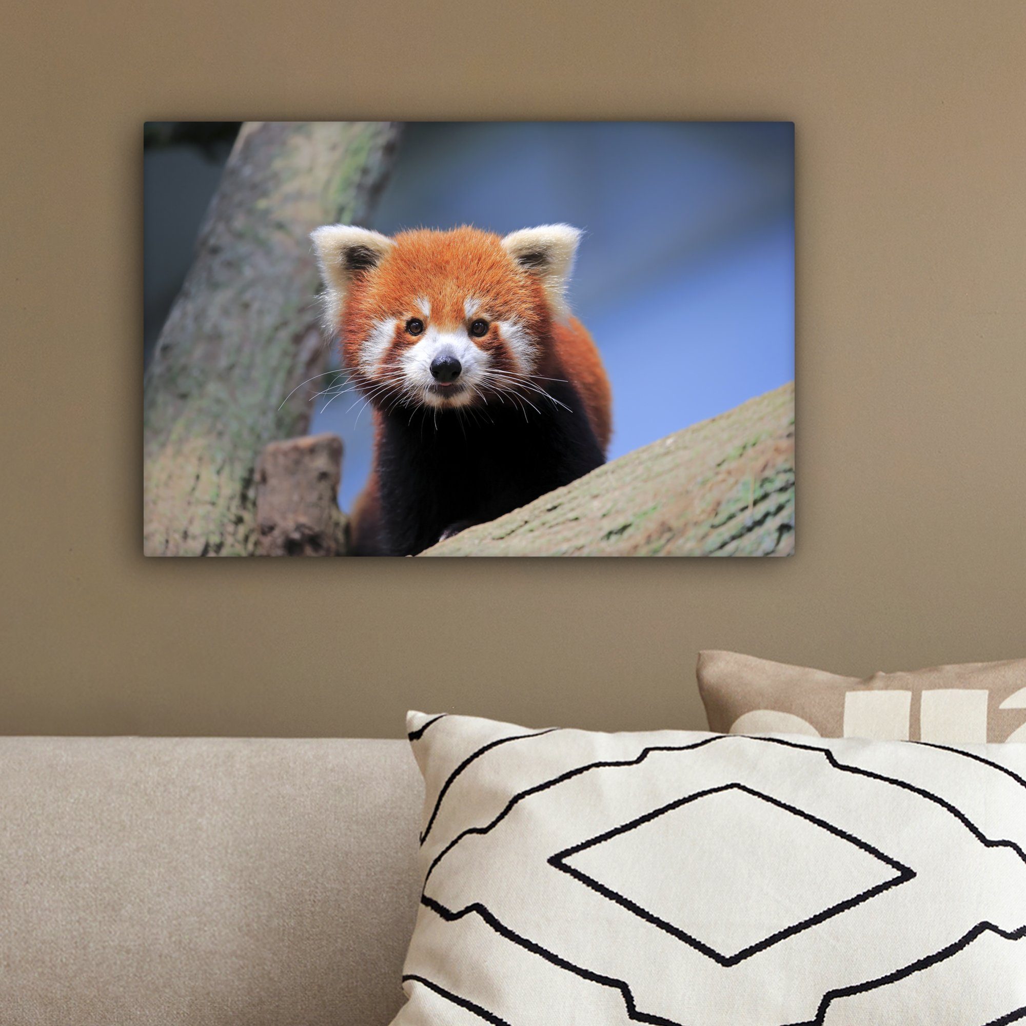 Wandbild St), OneMillionCanvasses® Roter Leinwandbilder, Panda Aufhängefertig, (1 cm - - Baum, Orange 30x20 Leinwandbild Wanddeko,