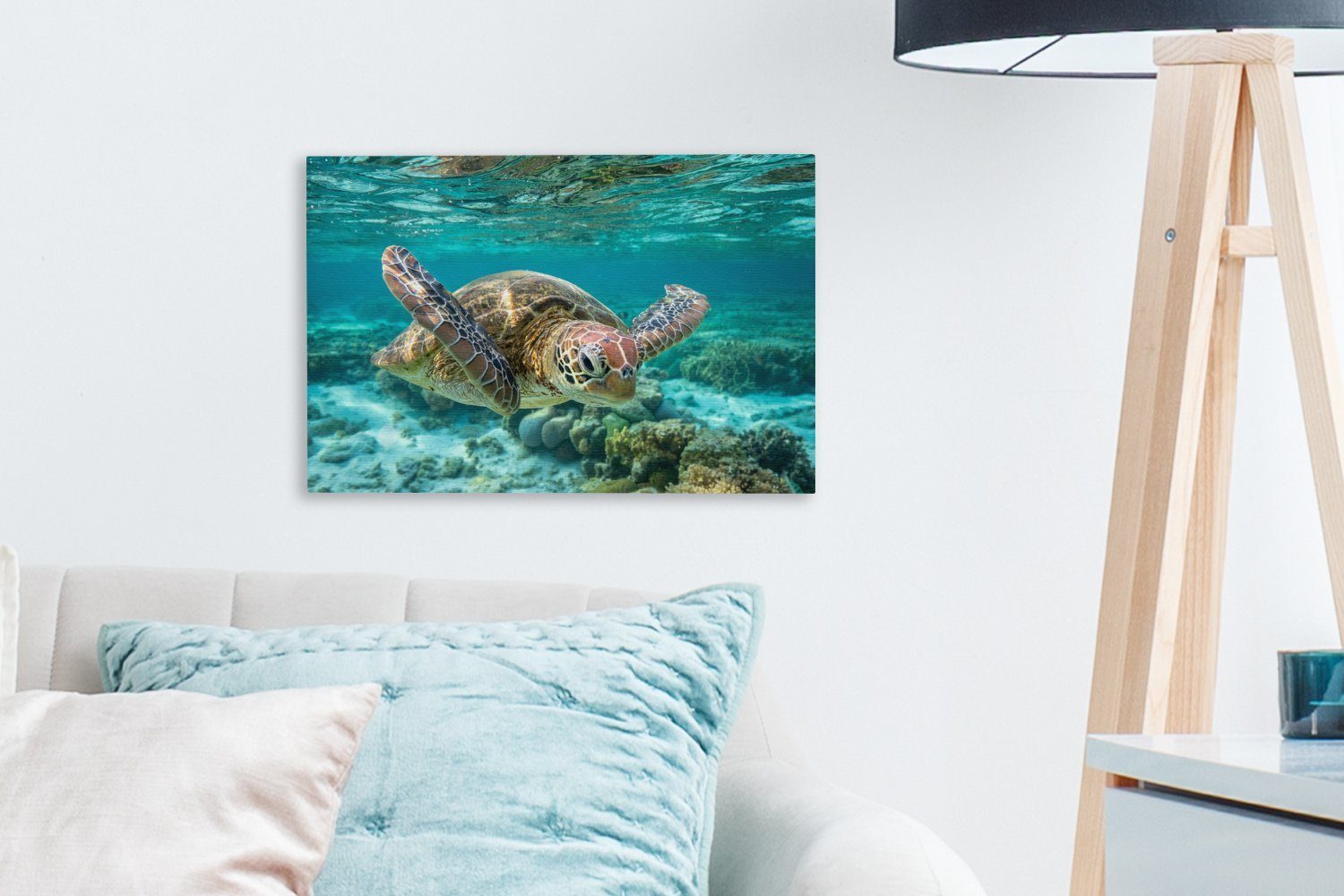OneMillionCanvasses® Leinwandbild schwimmt Eine Wandbild unter Aufhängefertig, St), Wasser Bodennähe, (1 in Leinwandbilder, Wanddeko, 30x20 cm Schildkröte