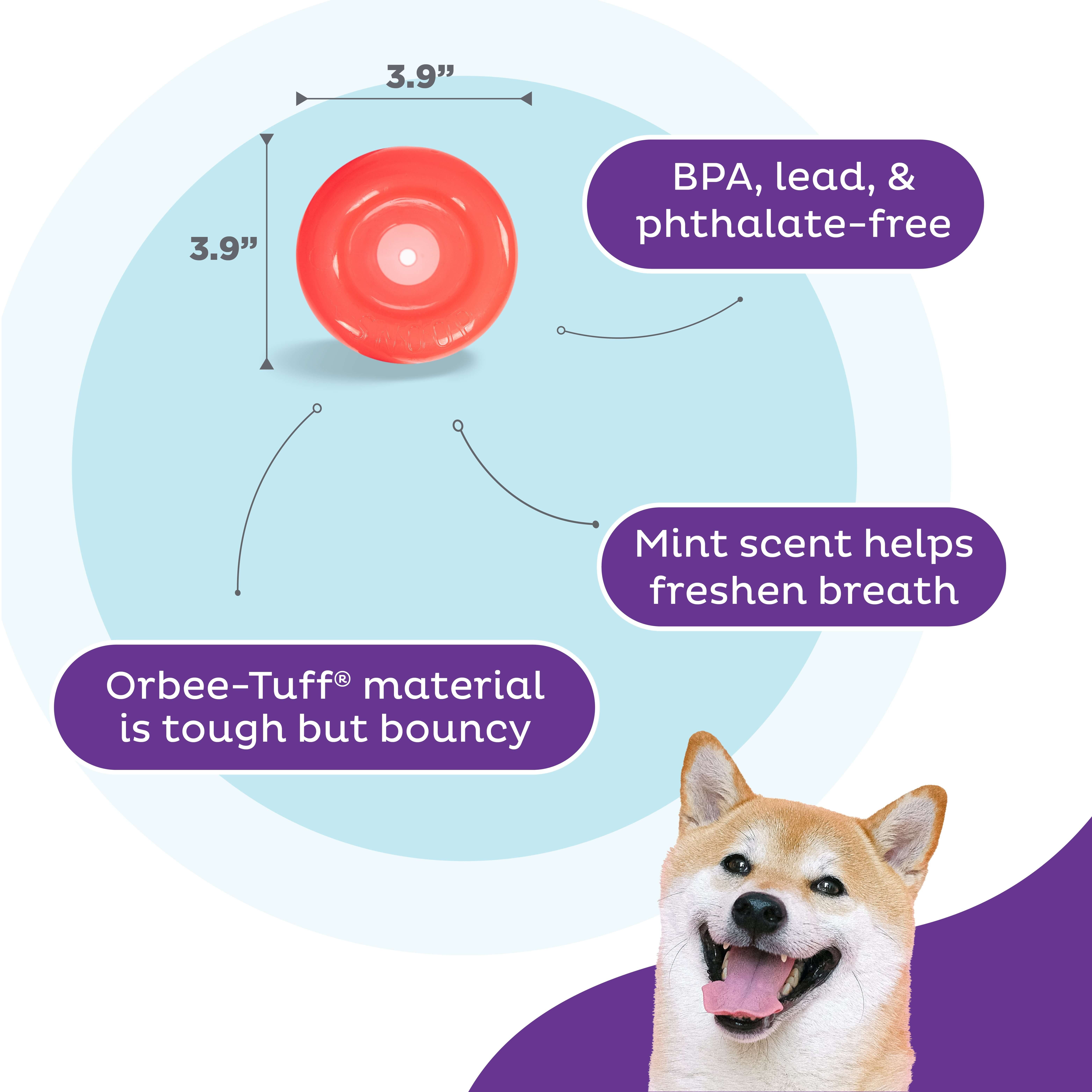 Outward Hound Tier-Intelligenzspielzeug Planet Dog Lil' günstig online kaufen