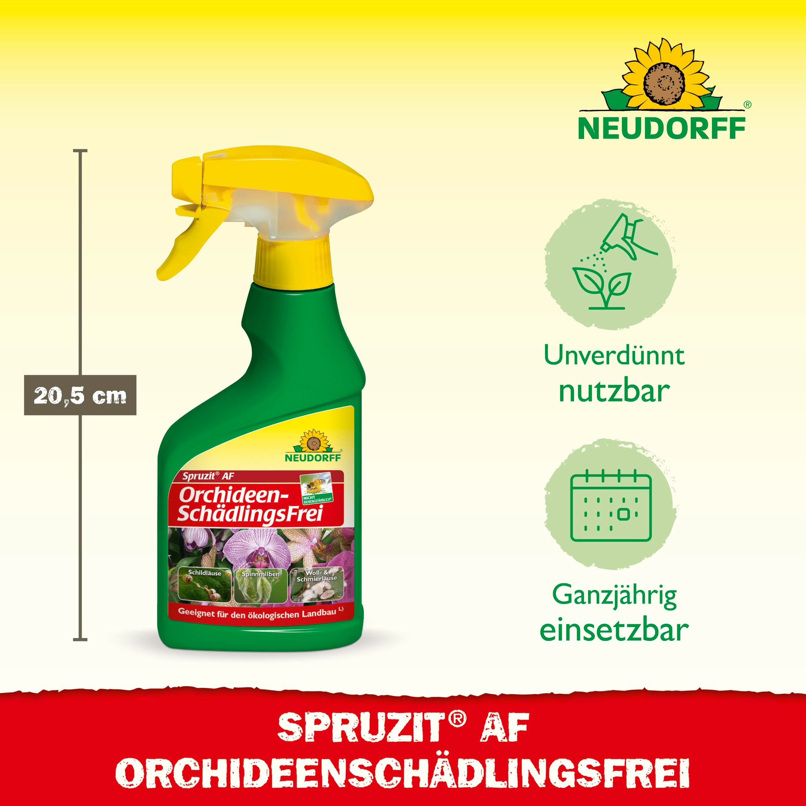 Neudorff Insektenspray Spruzit AF OrchideenSchädlingsFrei 250 ml, 0,25 l, Anwendungsfertiges Spary bekämpft Schädlinge wie Blattläuse, Thripse, Schild- & Wollläuse an Orchideen, Speziell für Orchideen entwickelt, mit Natur-Pyrethrum und Rapsöl