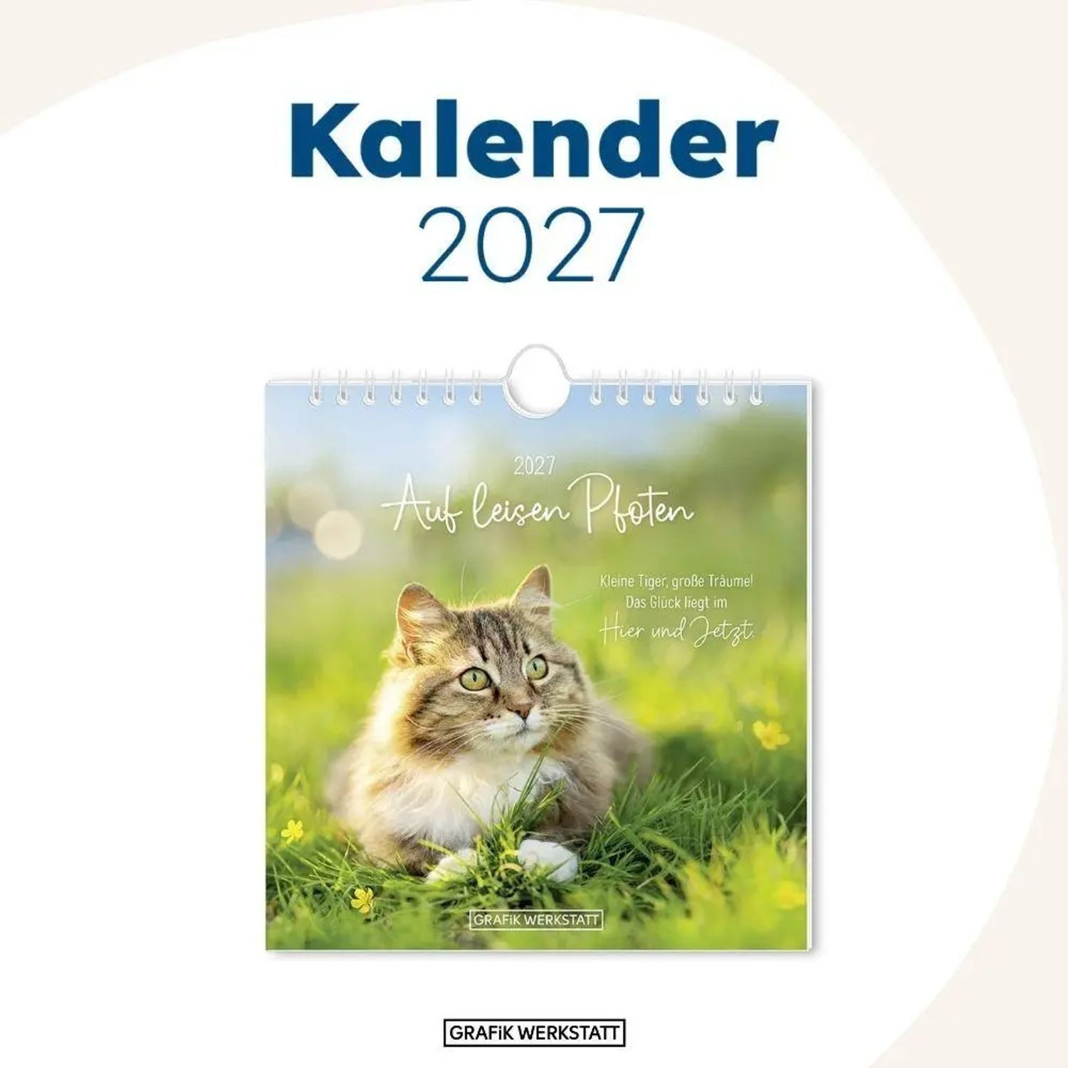 Grafik Werkstatt Wandkalender Postkartenkalender 2027 Auf leisen Pfoten