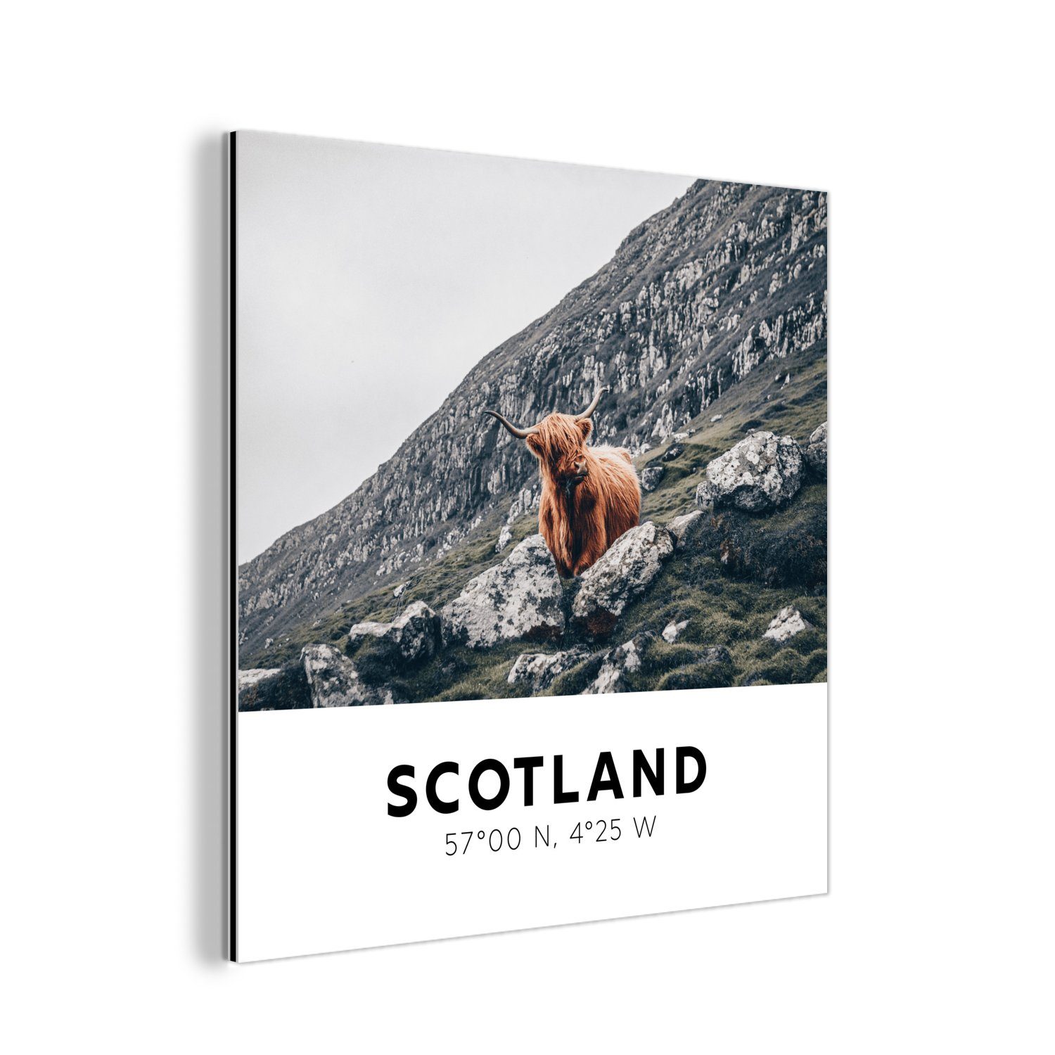 MuchoWow Metallbild Schottland - Highlander - Berge, (1 St), Alu-Dibond-Druck, Gemälde aus Metall, Aluminium deko