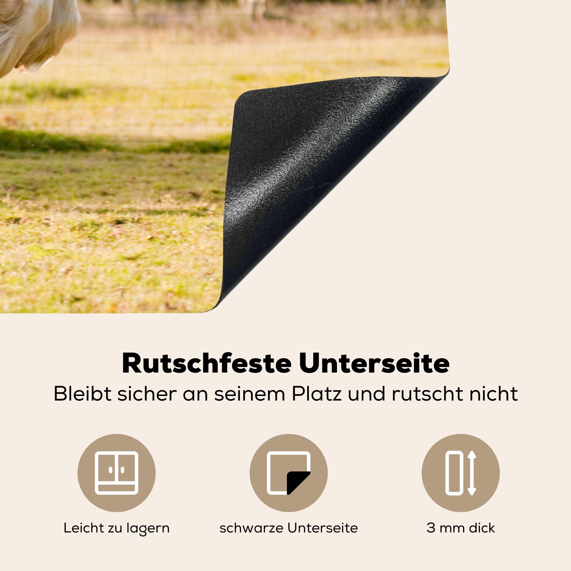 Springender die für 81x52 Ceranfeldabdeckung Vinyl, MuchoWow Herdblende-/Abdeckplatte küche, (1 Induktionskochfeld Tinker, cm, tlg), Schutz