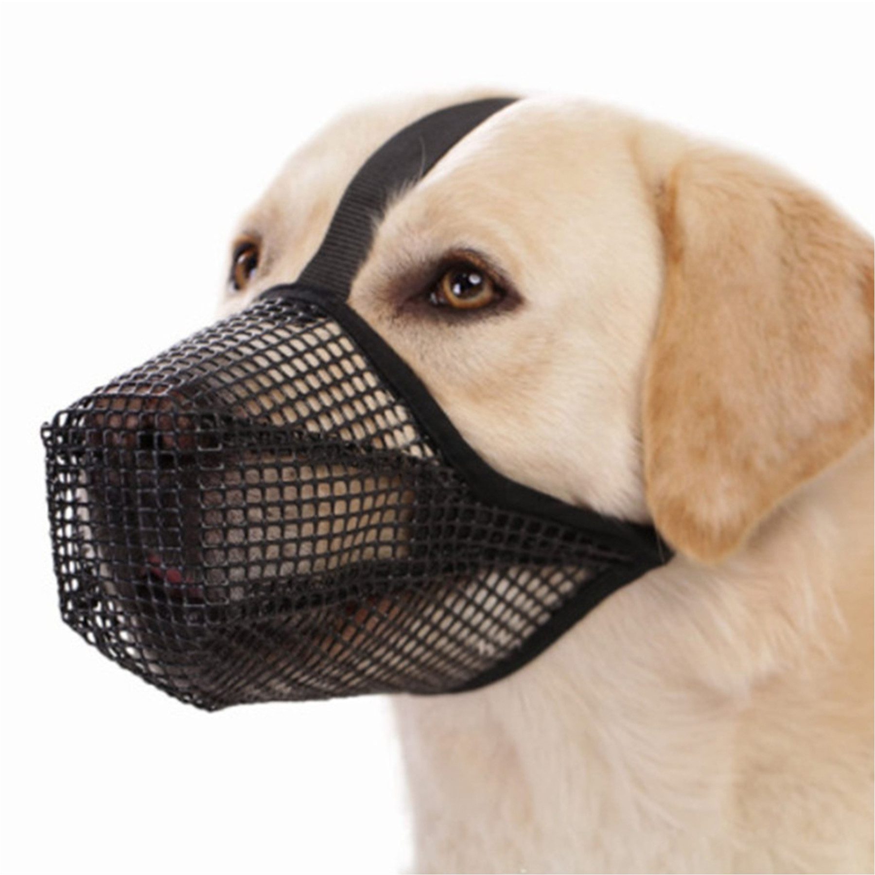 Mutig Maulkorb Hunde Maulkorb, Weiches Netz Atmungsaktiv Maulkorb für Kleine Mittel, Anti-Rutsch Verstellbar Maulkörbe mit DREI Riemen Größe M