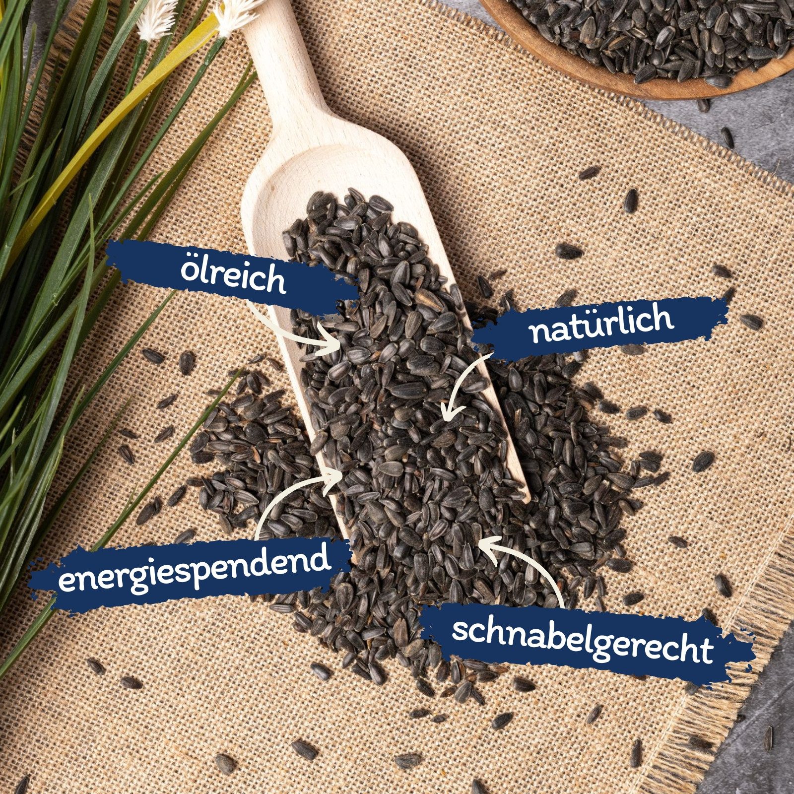 Lyra Pet 10 kg Lyra Pet® Sonnenblumenkerne schwarz, für: Wildvogel