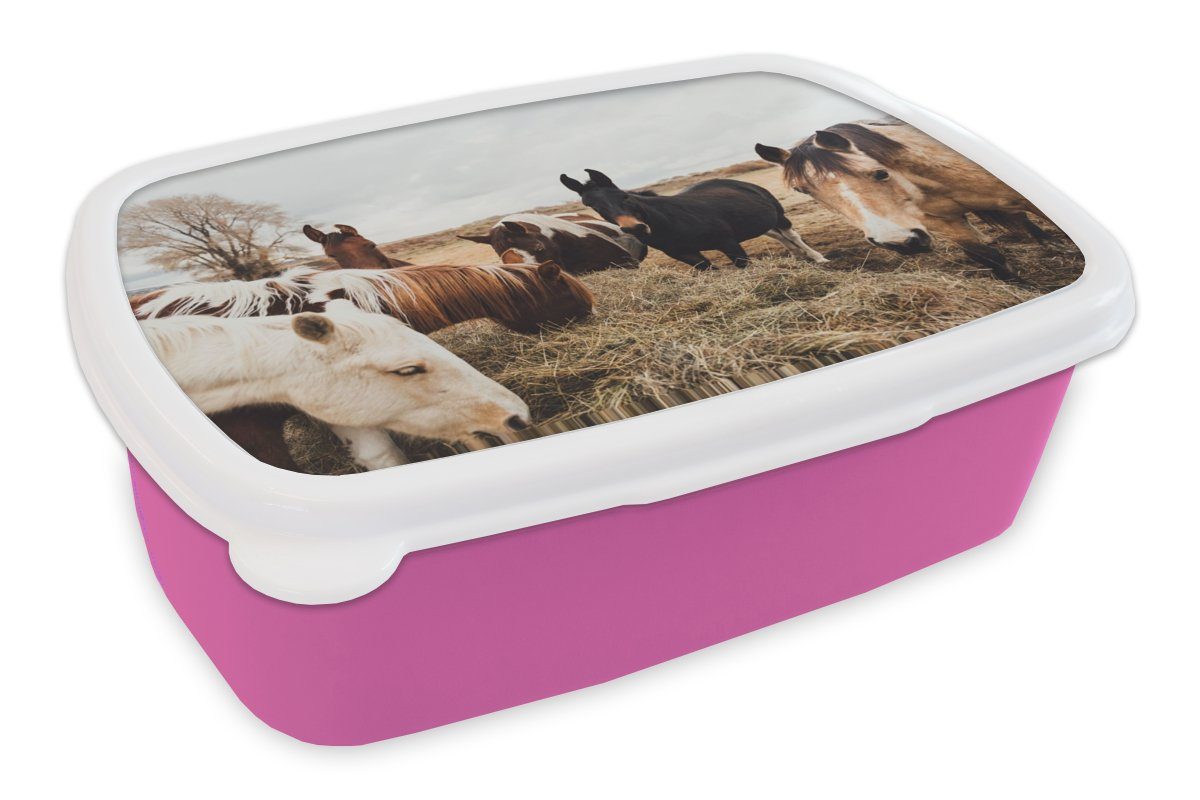 Mädchen, Lunchbox (2-tlg), Tiere MuchoWow Kinder, Brotbox Brotdose - Snackbox, Kunststoff, rosa Erwachsene, Pferd, Kunststoff für