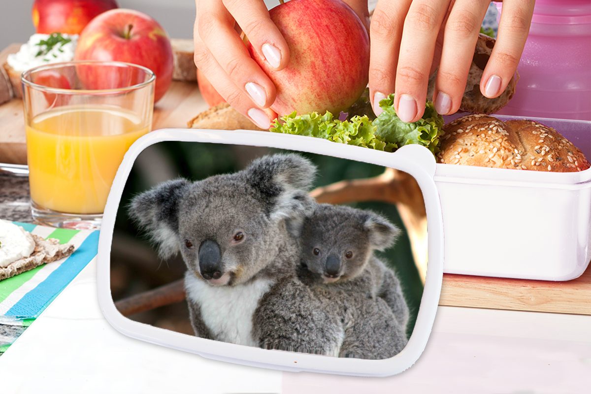 MuchoWow Lunchbox - Brotdose, Jungs Erwachsene, für Kunststoff, Mädchen Kinder Mädchen, - - und Vater Jungen Kind für - Brotbox Koalas (2-tlg), weiß und