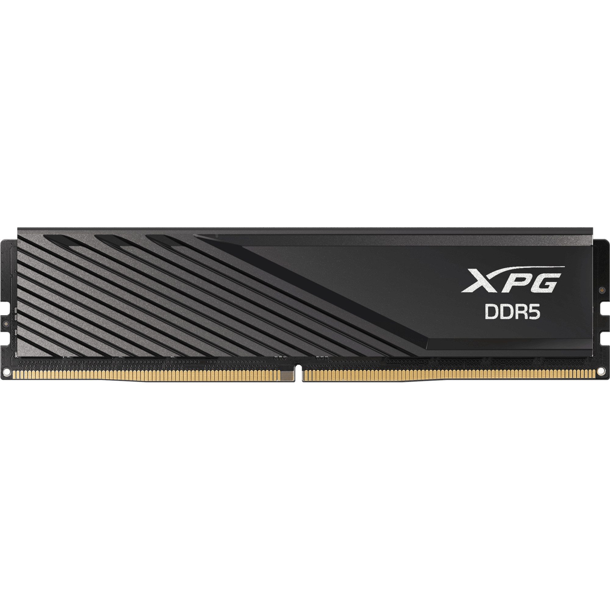 ADATA DIMM 32 GB DDR5-6000, Arbeitsspeicher Arbeitsspeicher